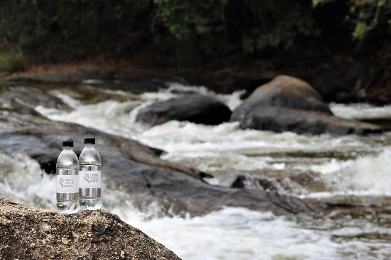 Lions Rock Rapids - Lodge Hazyview Dış mekan fotoğraf