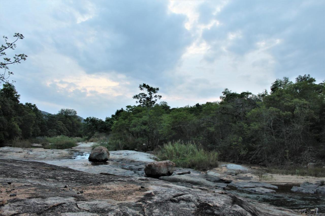 Lions Rock Rapids - Lodge Hazyview Dış mekan fotoğraf