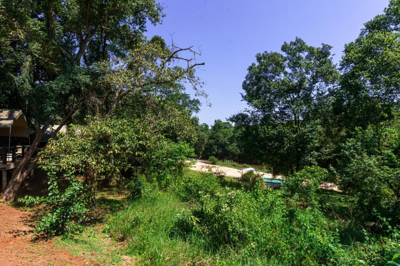 Lions Rock Rapids - Lodge Hazyview Dış mekan fotoğraf